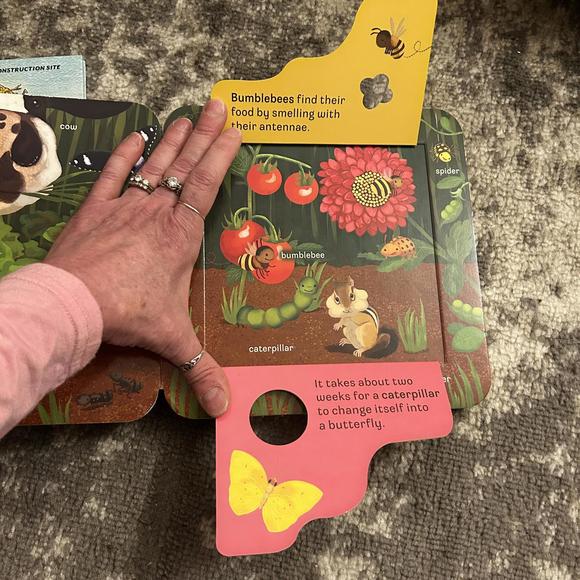 Scholastic Farm Theme Books - Picture 7 of 8